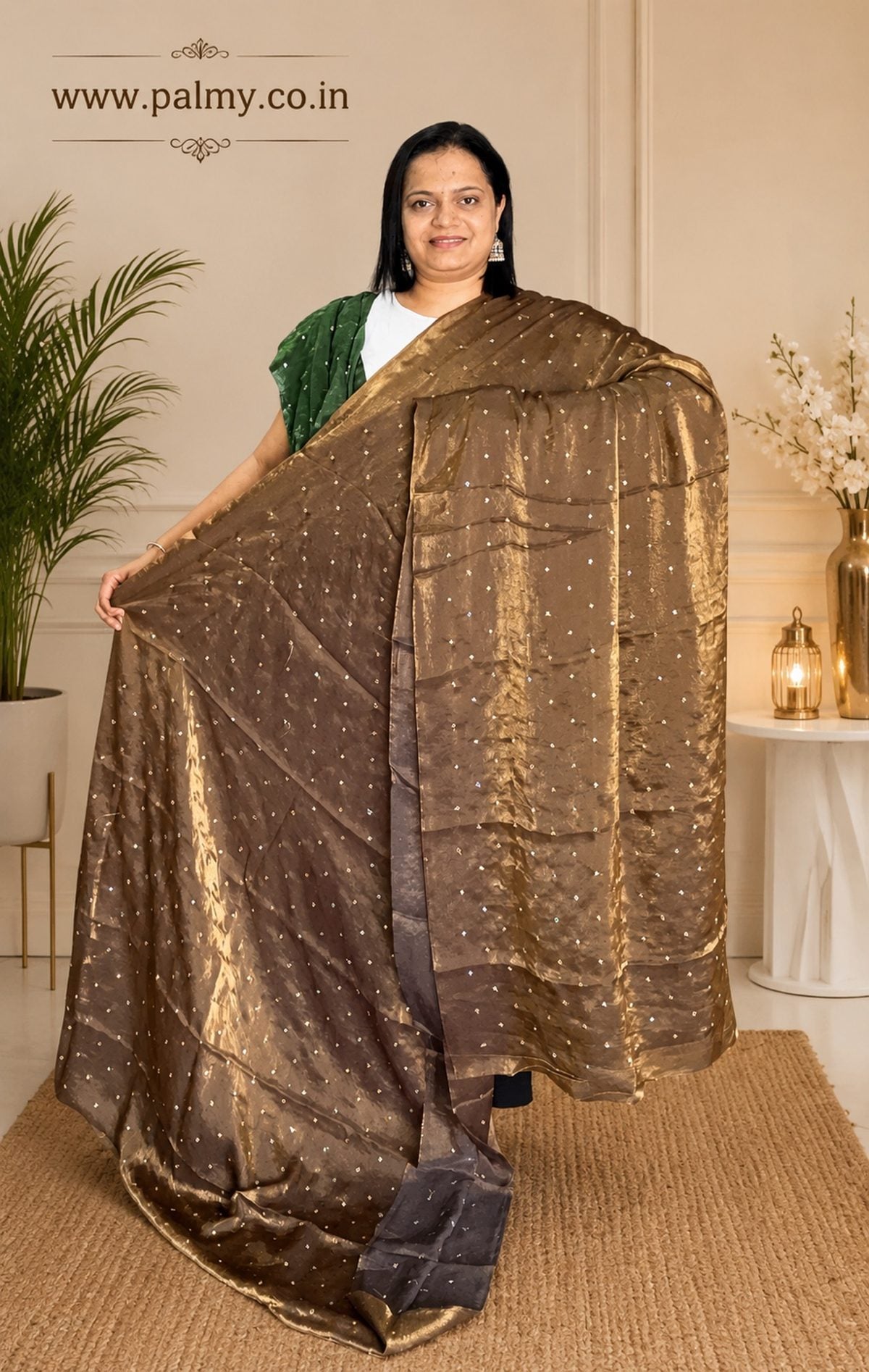Festive Wear Saree